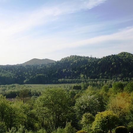 Lesny Dworek 1 Wolkowyja Εξωτερικό φωτογραφία